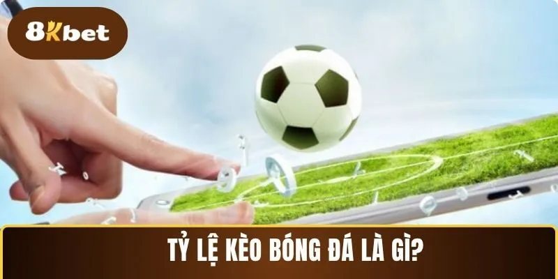 Giải đáp chi tiết về tỷ lệ kèo bóng đá