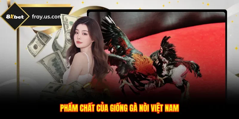 Phẩm chất của giống gà nòi Việt Nam