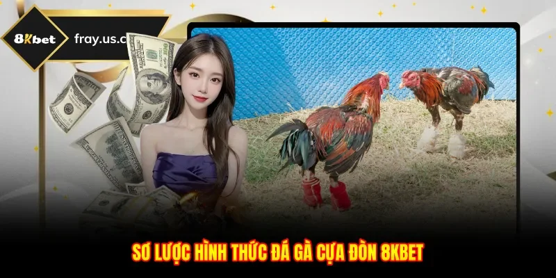 Sơ lược hình thức đá gà cựa đòn 8kbet